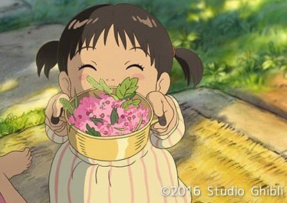 Studio Ghibli on Twitter  Dvd case, Studio ghibli, Ghibli