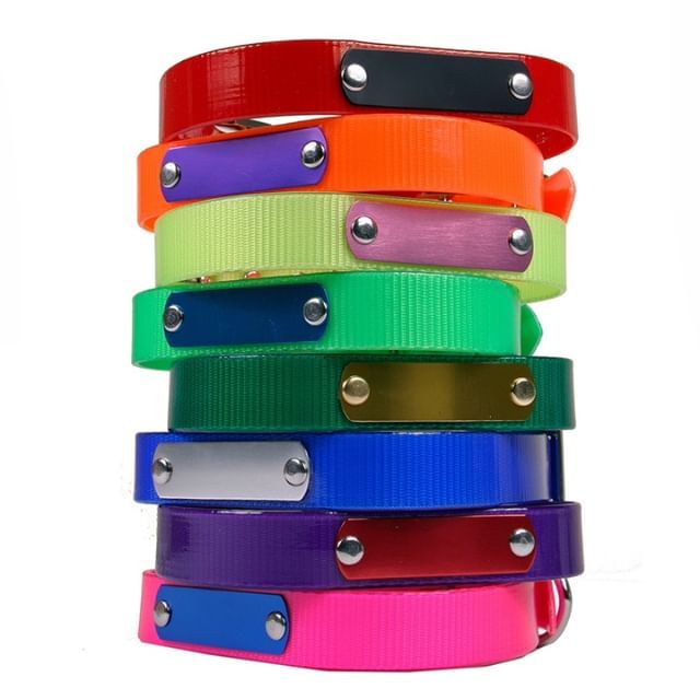 Hot Dog Collars tweet media