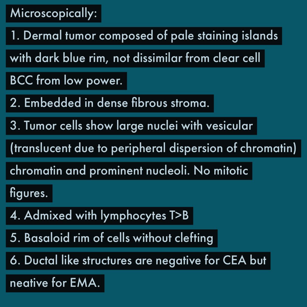 Michael P. Lee MD tweet media