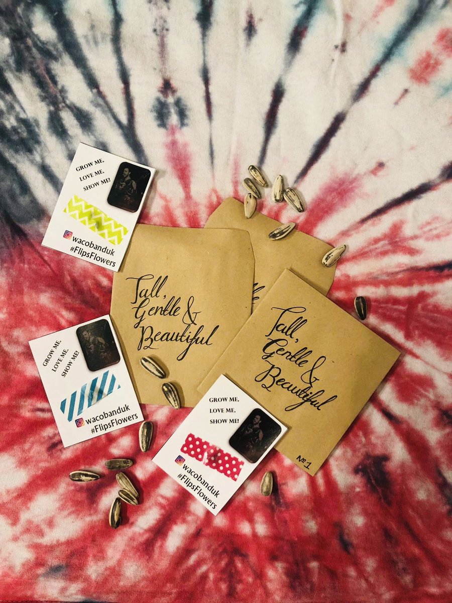 WacoBandUK's tweet image. For our upcoming gigs this week, our dear friend Sarah has arranged Flip’s Flowers... We have 100 sunflower seeds that we want you to grow, love and share pictures of in memory of our Chris (aka Flip).
Come see us at the merch table to grab yours.
🌻
#FlipsFlowers #WacoFamily