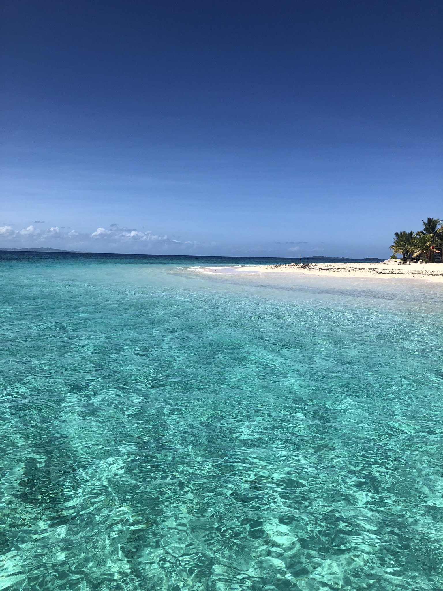 Yoshi ワーホリ中inメルボルン フィジーで人気の島の１つ ビッチコンバー 一日でモーニングコーヒーと昼食付きで7000円ほど 透き通るような海でした フィジー Fiji ビーチコンバー Beachcomber 海 リゾート T Co Jjcmtbexoz