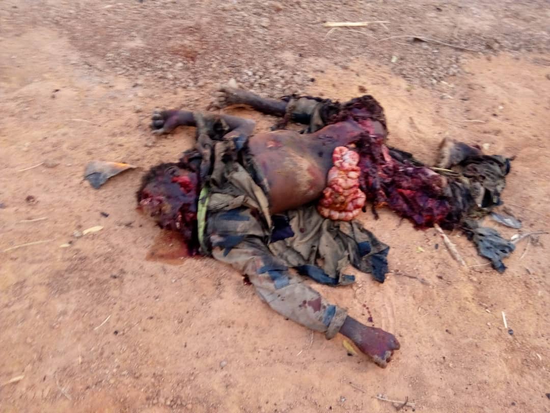 Breaking - Pictures: Troops on alert repel attempted Boko Haram Damaturu invasion, gun down terrorists 1 D3vEEXOX4AEiQlu