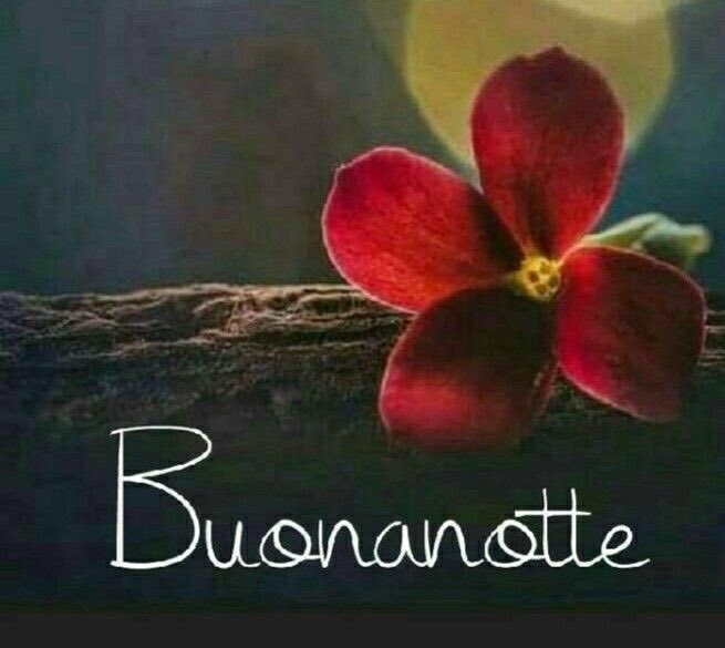 Rita Falchi Buonanotte Tanti Sogni Belli