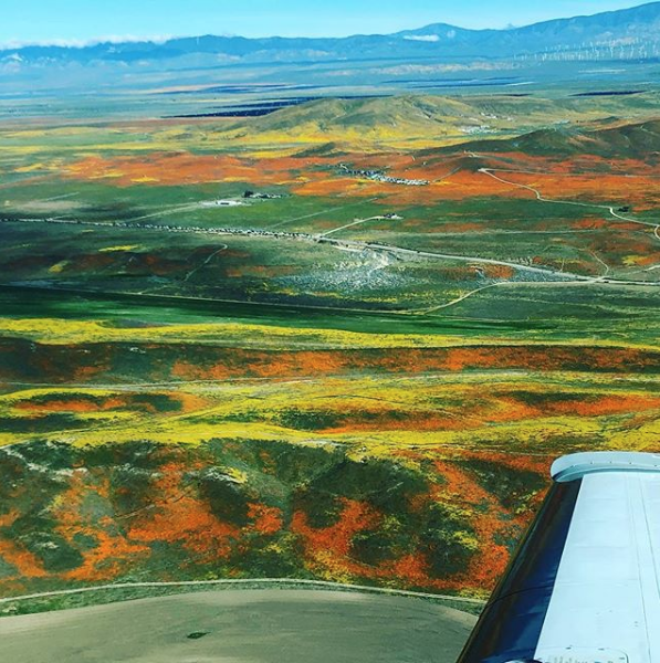 TannerFoust's tweet photo. Sometimes it’s all about poppy’s ... 🤷🏻‍♂️#f33a @Beechcraft #getoutandfly https://t.co/BXtFunQRa1
