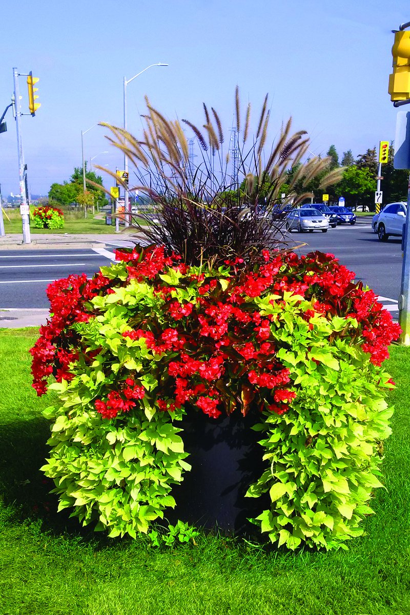 DesertPlanters's tweet photo. The Avenue self-watering planter has a large water reservoir that will transform watering to a weekly labour cost helping you save time &amp; money. https://t.co/grDM1SMht8  #roundplanters #selfwateringplanters #home #commercial  #flowerpots #cities #municipalities #Residential https://t.co/dkrJd9eEax