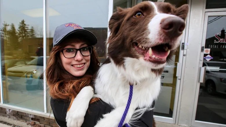 At 5:48: How is your dog smart? <a href="/zachary_silver/">Zachary Silver</a> <a href="/yaledoglab/">CCC@Yale</a> has some answers. LISTEN LIVE: cbc.ca/listen/live/ra…