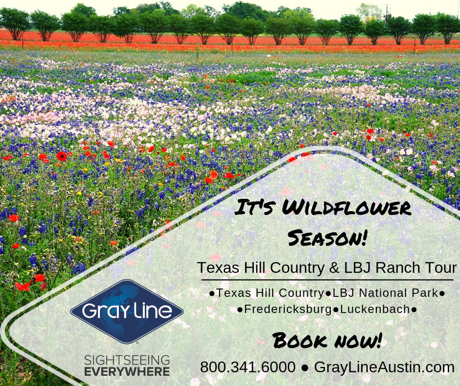 GrayLineAustin's tweet image. Who's ready to experience the hill country with Gray Line Tours? ow.ly/Pic030onBRr #visitaustin #atx #texas #travel #tours #sightseeing #wildflowers