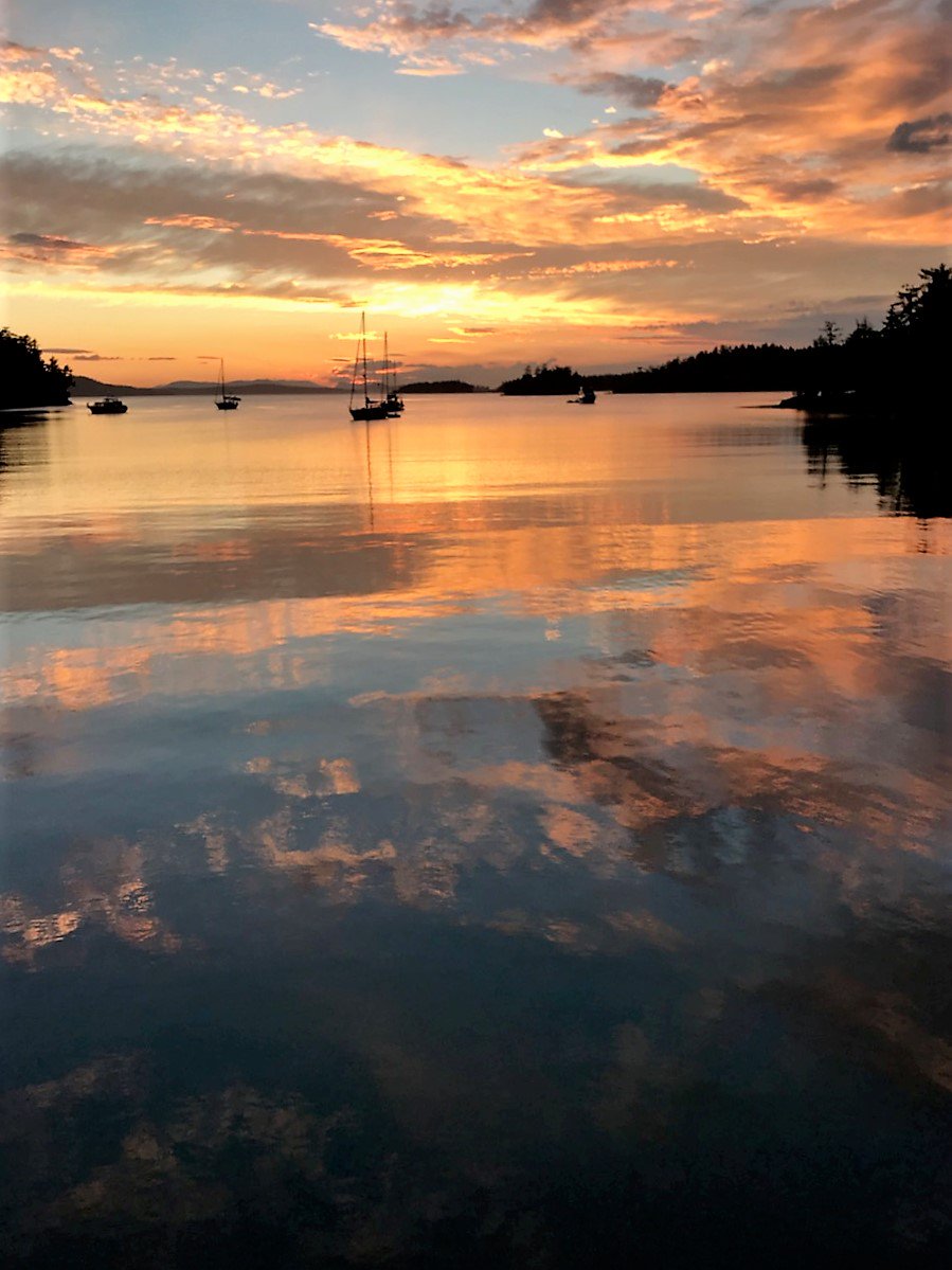 Visit San Juan Islands tweet media