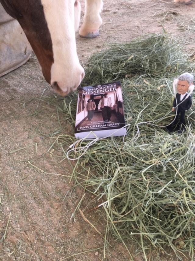 Time to feed the horse, not wanting to stop listening to my audio book, Mike Rinder jr listened while doing his chores. amazon.com/author/janisgr…
#TheAftermathFoundation #BobbleRinder <a href="/blownforgood/">Marc Headley</a> <a href="/MikeRinder/">Mike Rinder</a> <a href="/AftermathFdn/">The MJR Aftermath Foundation</a> <a href="/GrowingupinSCN/">Aaron Smith-Levin</a> <a href="/mikerinderbobb1/">mikerinderbobblehead</a> thespshop.com
