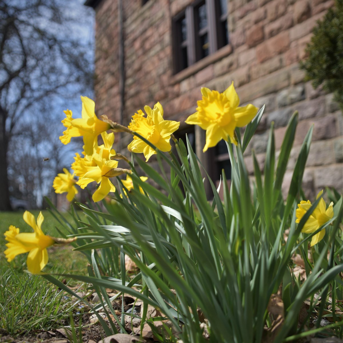 theuofolivet's tweet photo. Join Olivet College and @GISAlphaAlpha for the annual Easter Egg Hunt Wednesday, April 10 at 6 p.m. in front of Mott Academic Center. The event includes gift basket giveaways and the chance to meet the Easter Bunny. The event is free and welcomes all children. #OCNation https://t.co/ZK6uIbGCgR