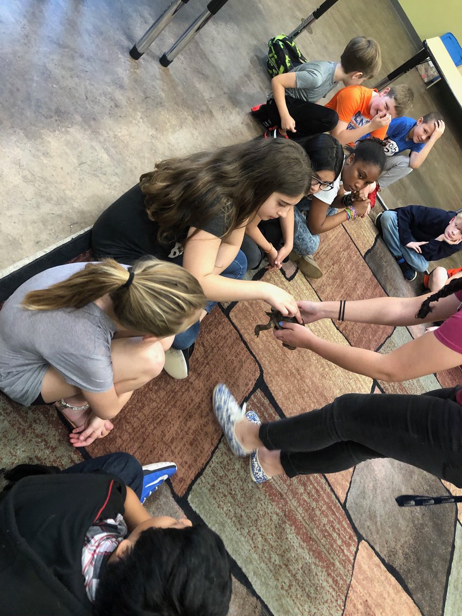Jamie0733's tweet photo. More hands on today! That’s a box turtle and chinchilla! https://t.co/AxRqBQvOQk