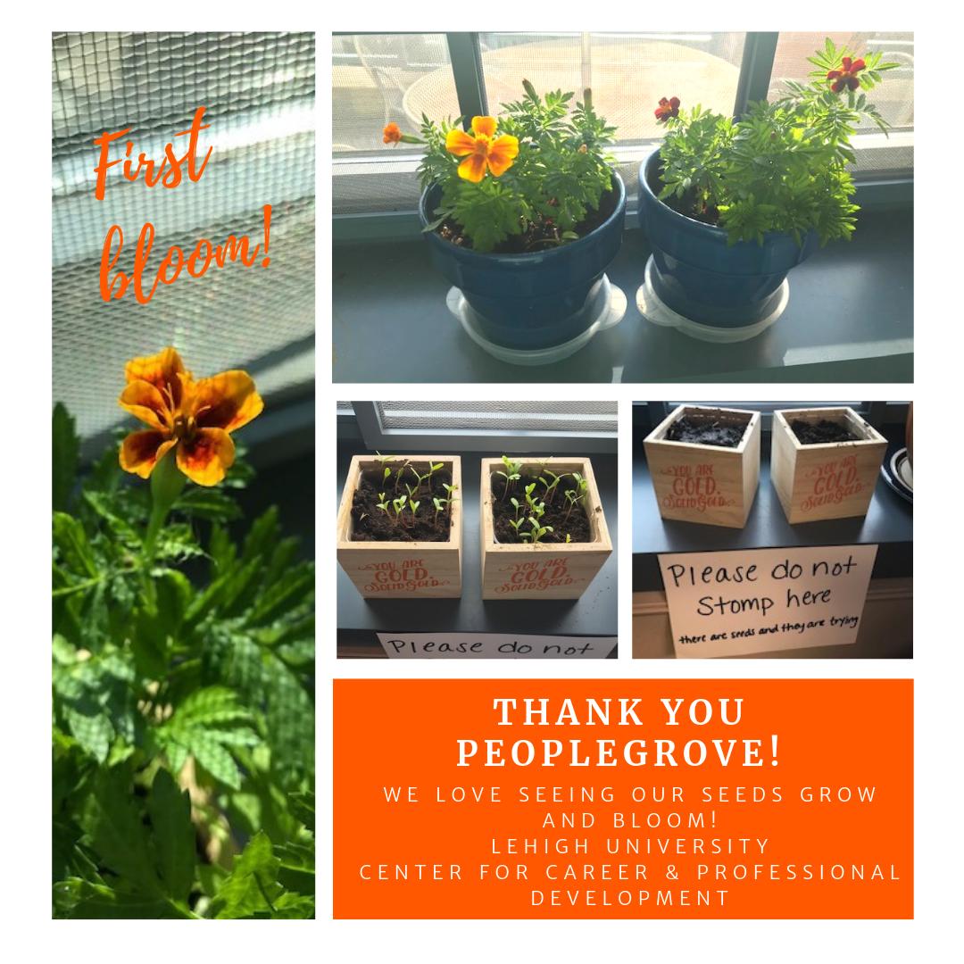 Center for Career & Professional Development tweet media