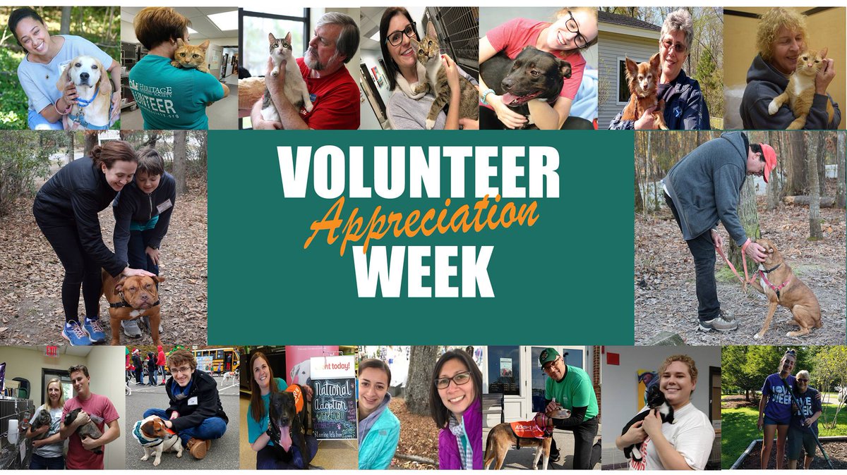 HHSwilliamsburg's tweet photo. It's Volunteer Appreciation Week! To all of our amazing volunteers, thank you for all you do on behalf of Heritage Humane Society! You are the backbone of this organization and we couldn't save as many lives as we do, without you! https://t.co/nalF0Gs7OZ