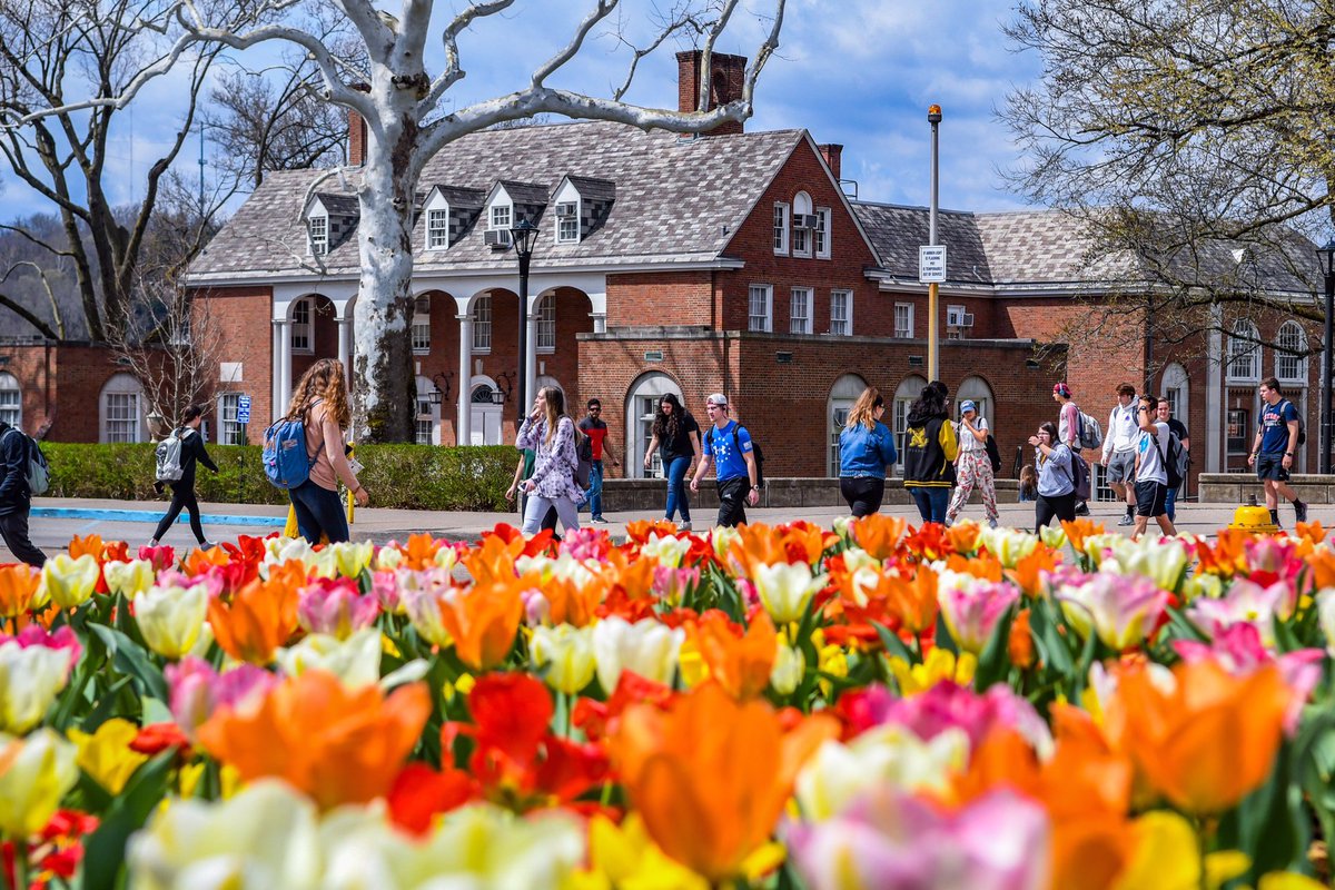 WestVirginiaU's tweet photo. It’s a beautiful day in the neighborhood. 🙌 https://t.co/99TKmCRnZ7
