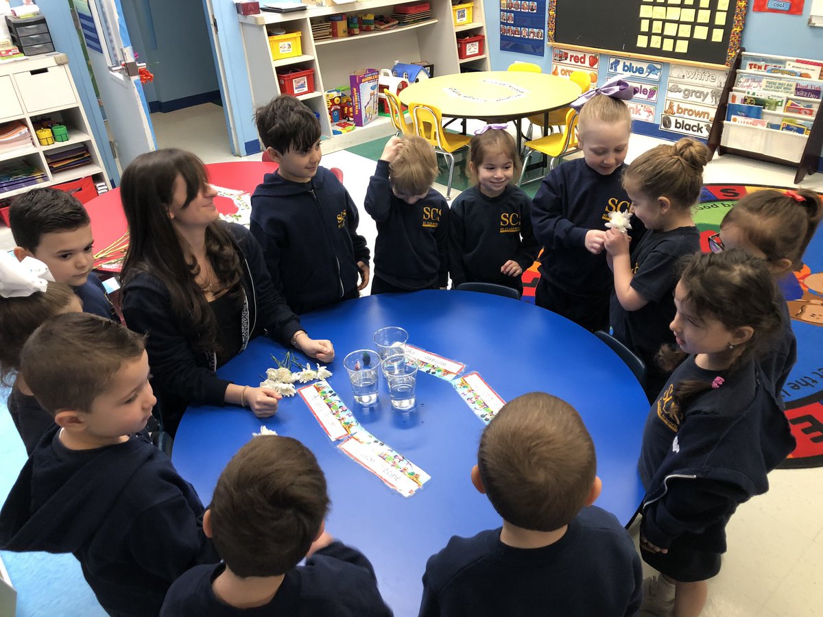 SCS_Prek's tweet photo. This week, we are learning about plant parts. Plants use their stems to soak up the water from the soil; can you guess what happens when you change the color of the water? #scienceisfun #preklessons https://t.co/OHQoP20k6U