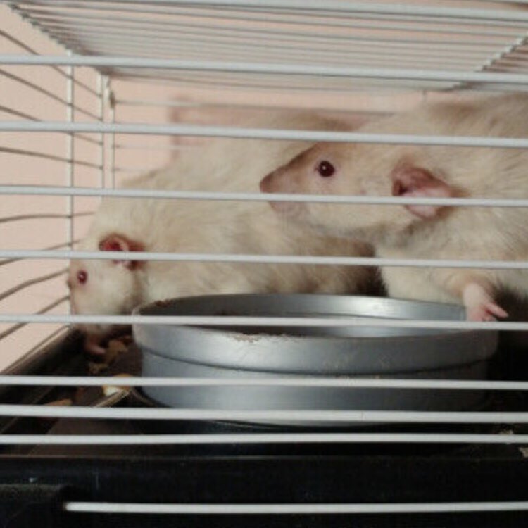 Kate Black 🏳️🌈 tweet media