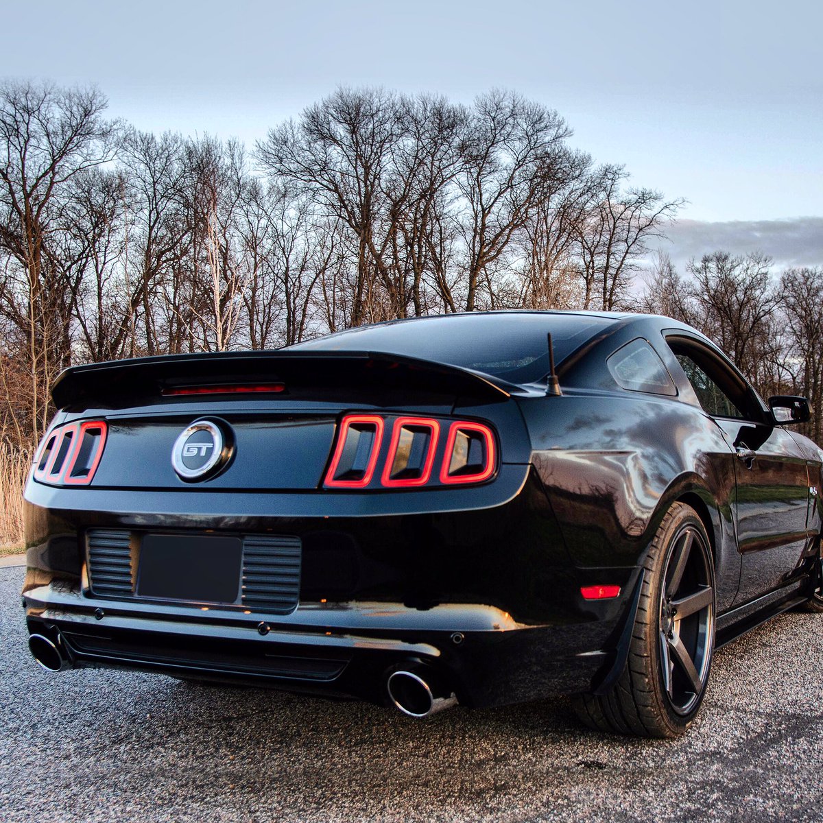 steedaautosport's tweet photo. The S197 is still 🔥! #taillighttuesday
Who’s still a fan? 🖐
https://t.co/0AQw3KPwtB
#steeda #speedmatters #s197mustang #mustang_fans #mustangofinstagram #fordmustang #worldofstangs https://t.co/fbq7eEBI6k