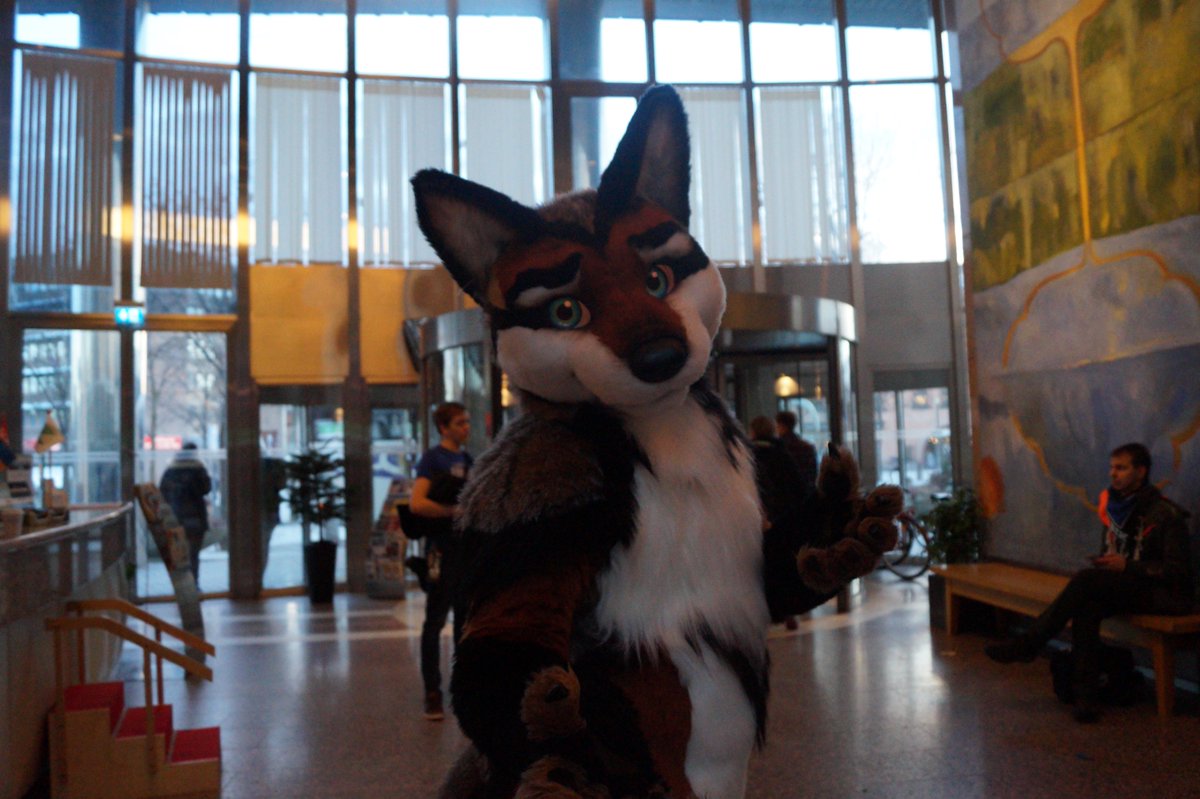 WariusPhoto's tweet photo. another post for #FoxTuesday ended up taking some nice photos of this foxy. photos from Nordicfuzzcon 2019
@coyoxal is the suiter. hope you like em https://t.co/5vFQ6jZykX