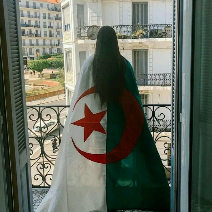 soniaamial's tweet photo. #الجزائر 
#الحراك_الشعبي 
#يتنحاو_قاع https://t.co/8bWEWig8X3