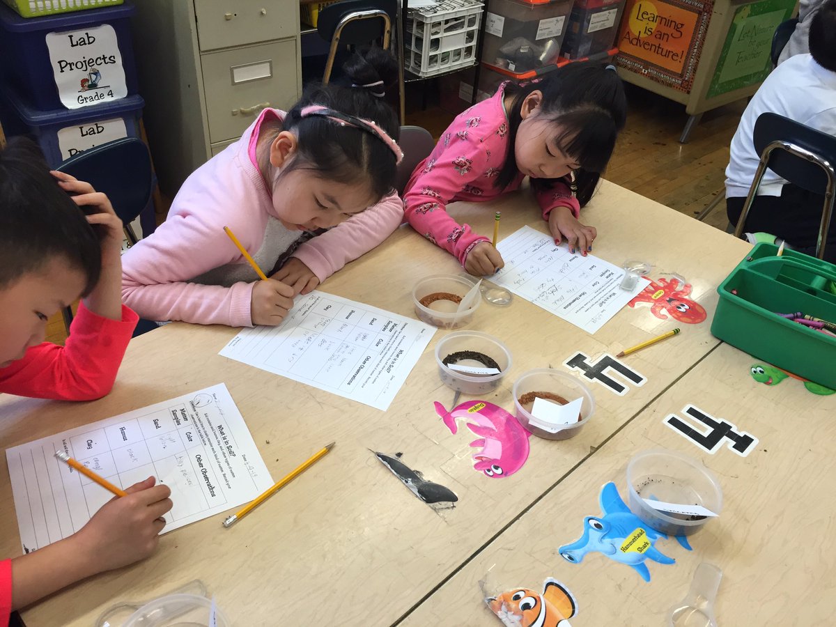 MrsSimmons159's tweet photo. Examining different soil samples with 2-222! #159scientists @PS159_Q @RodriguesPS159 https://t.co/sIOlJ3dE0c