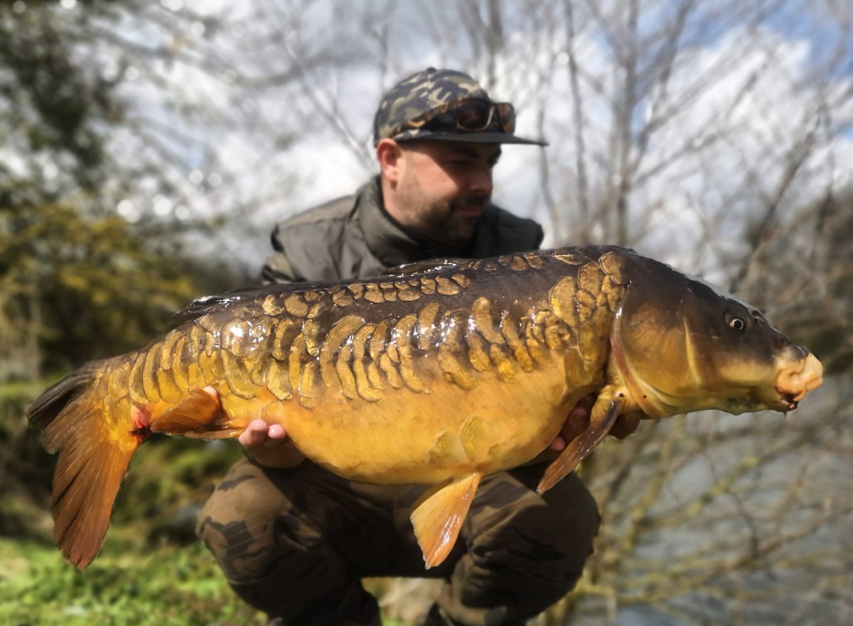 tommilson86's tweet photo. Few crackers from today! #teamevo #teamneb #teamBMG #teamrhino @NorthEastBaitz @BMGTackle @EvoCarpTackle https://t.co/OB2Uk46oz1