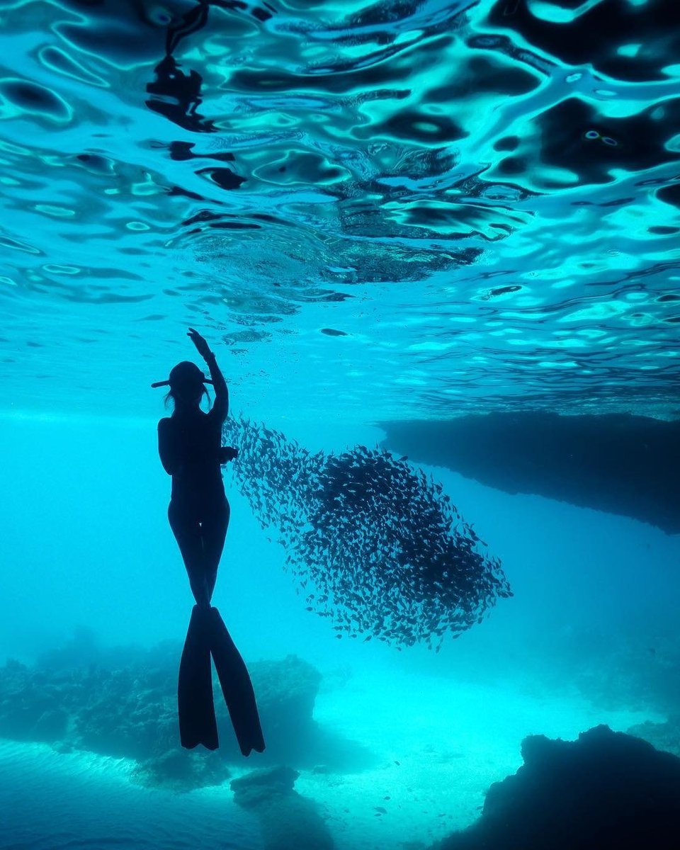 <a href="/CuracaoTravel/">Curaçao Tourist Board</a> Thank you <a href="/CuracaoTravel/">Curaçao Tourist Board</a>!  The Blue Room... #feelitforyourself! #Curacao #scubadiving #snorkeling #traveltips #TravelTuesday #travelblog @turtleandray 🇨🇼😎💙