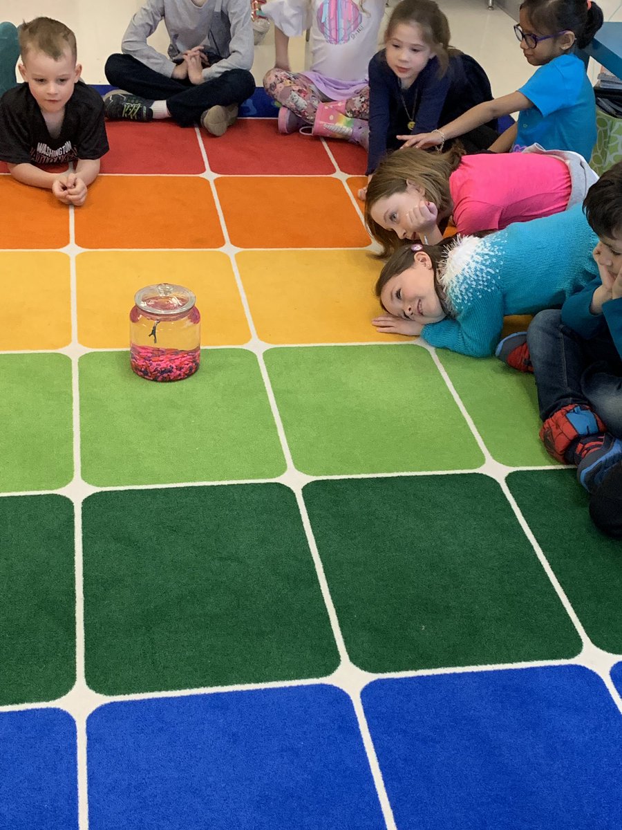 KittsonKinder's tweet photo. Our little entomologists are having so much fun digging deeper in the world around us. Baby chicks, butterflies, pet fish and watching the seasons change. It is so incredible listening to the connections they are making. #goGPGators #pblistheonlyway @GoshenPostES https://t.co/lsOtEfPOM4