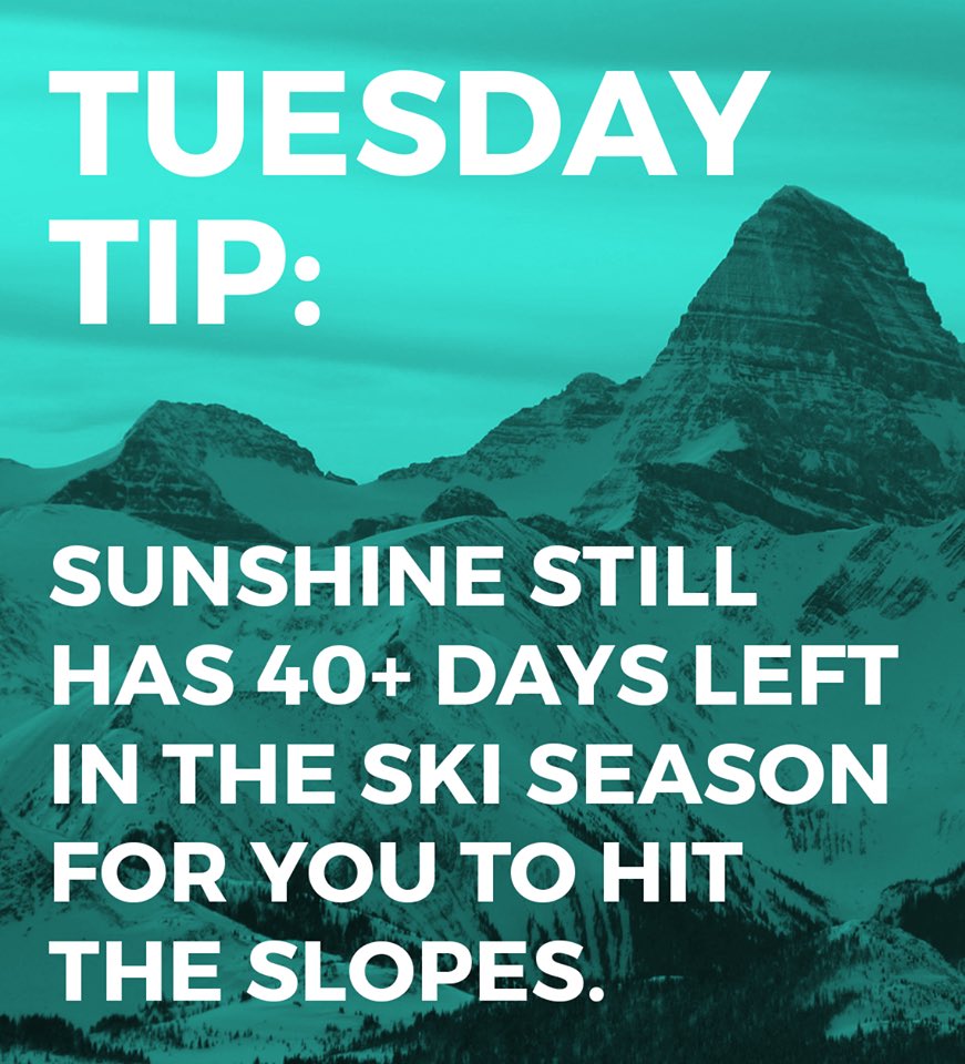 Sunshine Village tweet media