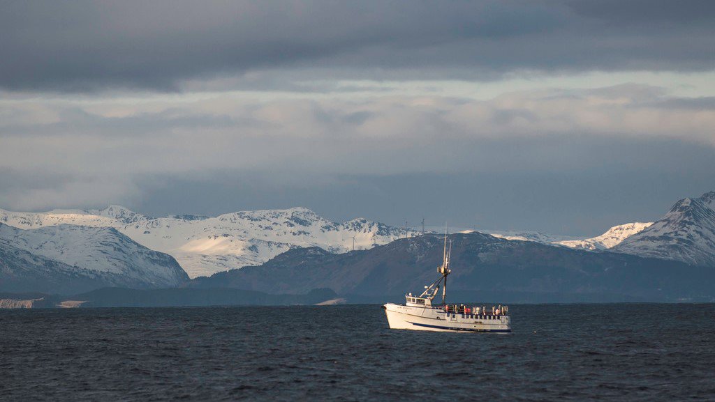 Alaska_Seafood's tweet photo. Alaska fishermen know the wild seafood stocks are a precious resource worth protecting. That’s why today, and every day, they practice sustainable fishing. #EarthDay https://t.co/gr1TahZ92p
