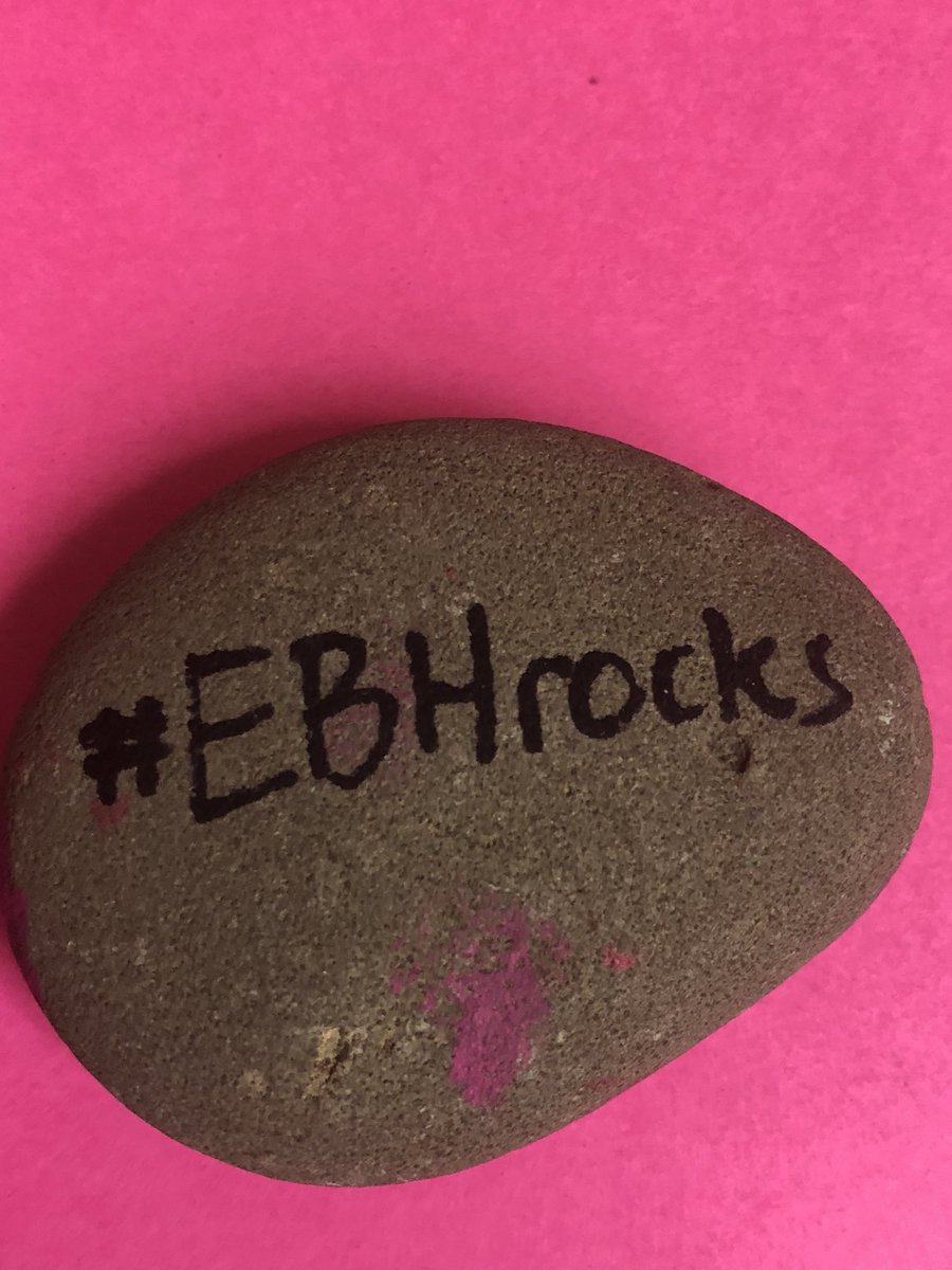 a_taeput's tweet photo. This week @Edenbrookhill students are spreading kindness in our community with #EBHrocks #weinspire #weekofpink https://t.co/tp0R0OcyF7