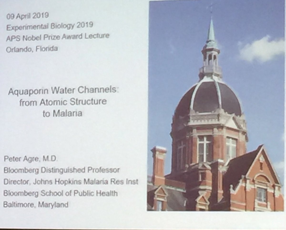 AnberithaT's tweet photo. Peter Agre, MD @HopkinsMedicine delivering the @NobelPrize lecture @expbio in #Orlando #Florida. @APSPhysiology @APSEducation #ExpBio #ExpBio19 #APSatEB https://t.co/0rhQbtkG0x