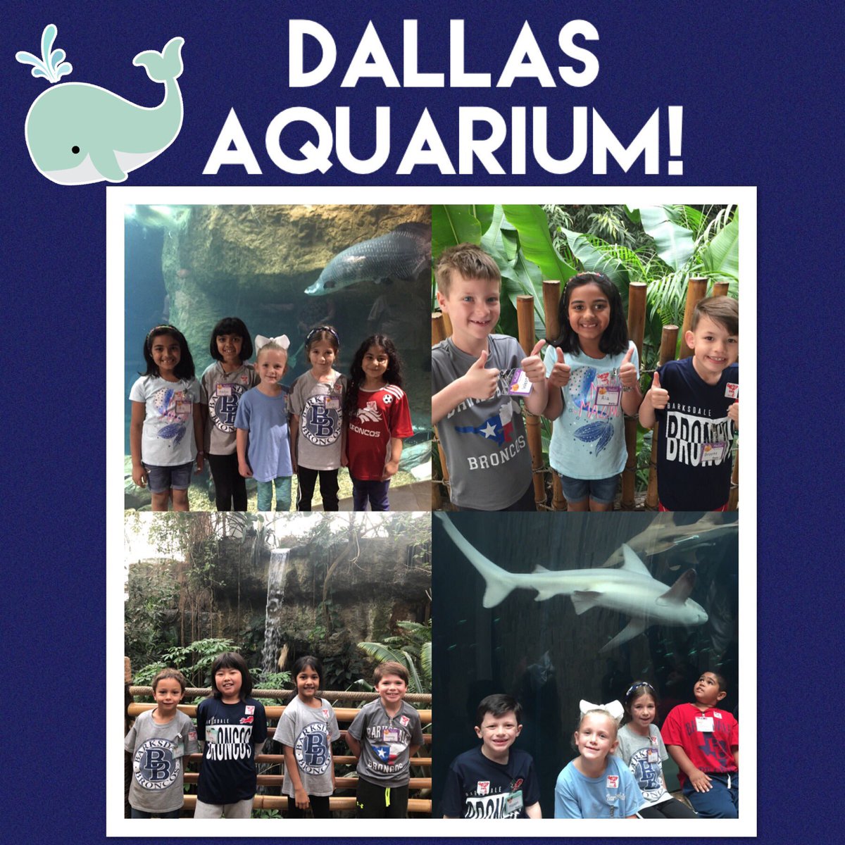 MrsBlank1st's tweet photo. First grade LOVED our field trip to the Dallas World Aquarium! It tied perfectly to what we’re learning about in science! #bbengaged #firstgrade https://t.co/vVfHrtqziw