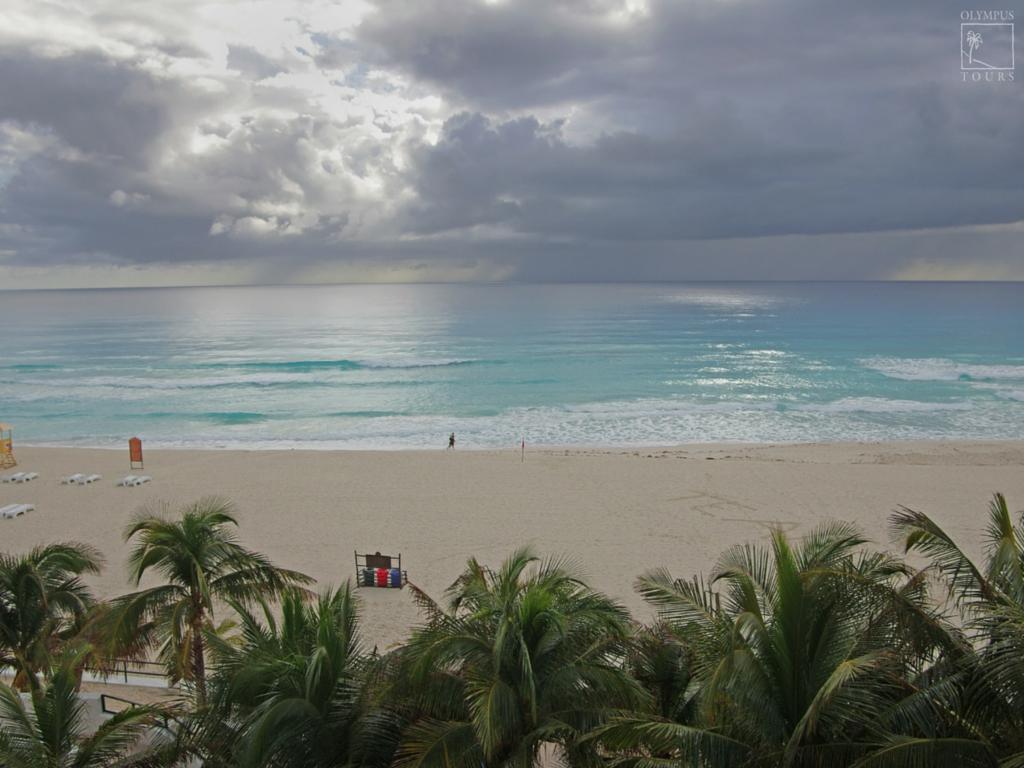 Discova Americas tweet media