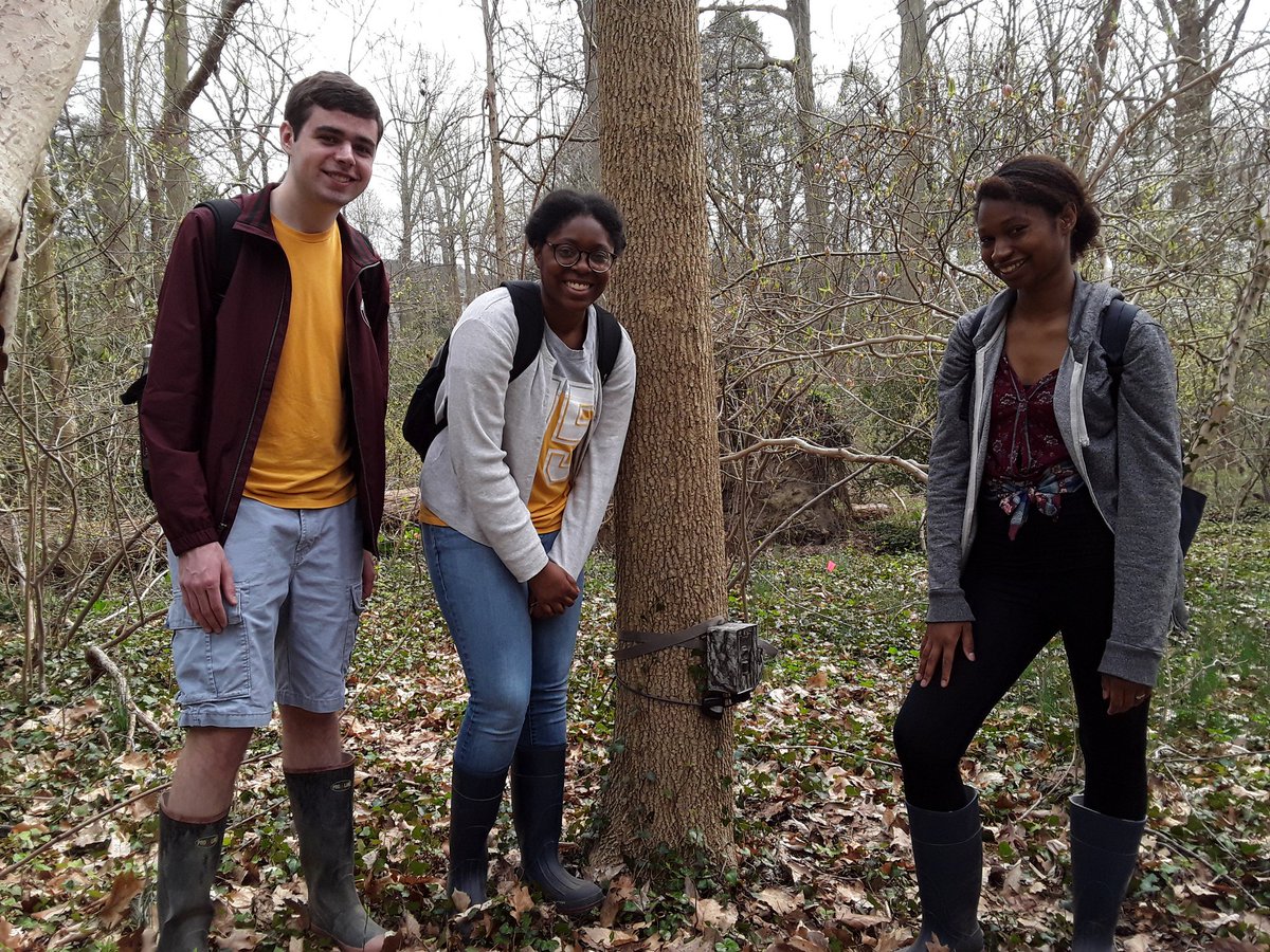 okiewhaler's tweet photo. My @swarthmore #ConsBio students checked #cameratraps today as part of our ongoing Crum Woods rapid #mammal assessment. #exciting #mammalogy @Mammalogists https://t.co/NfTZIL8NqT