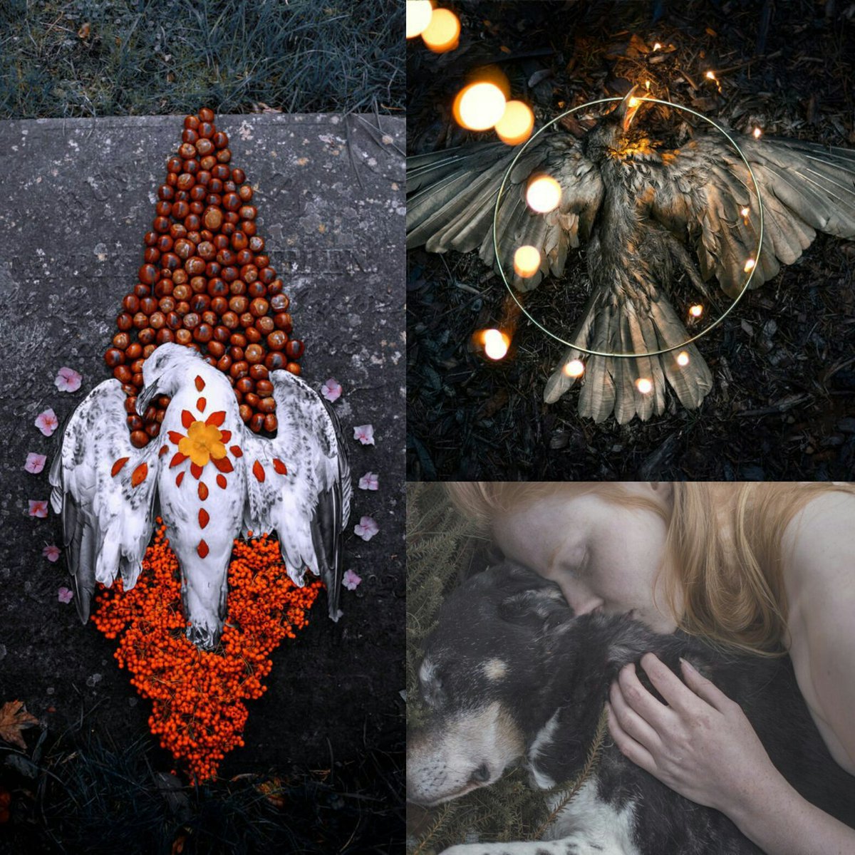 ArtOfMaquenda's tweet image. #PortfolioDay I'm Maquenda, a visionary artist, drawn to the 'wild, weird and wonderful' aspects of life. Strong emotions lead me to create.
💀 ArtofMaquenda.etsy.com
🍄 ArtofMaquenda.tumblr.com
🌱 Patreon.com/Maquenda
🌌 Instagram.com/ArtofMaquenda