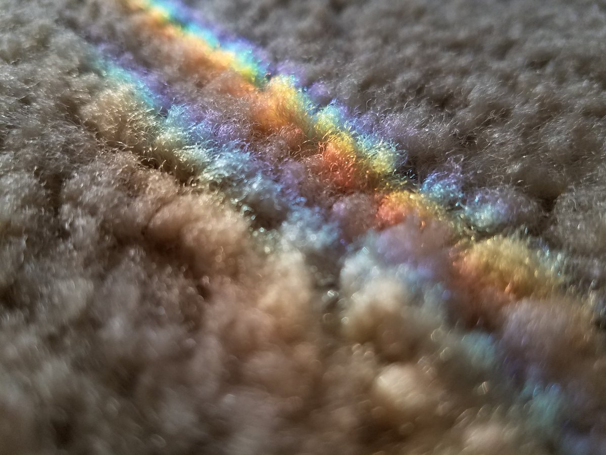 "Say 'hello'
To the rug's topography.
It holds quite a lot of interest with your face down on it."
youtu.be/CWRDZwV8jGE