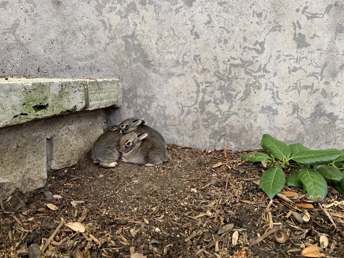 Mrs. Benjamin & Mrs. Proctor tweet media
