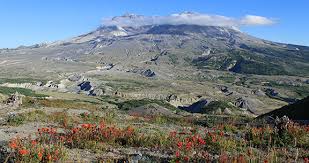 FSEEE's tweet photo. A conservation group is suing the Forest Service and the BLM over their approval of a Canadian company's plans to drill dozens of holes on national forest land near Mount St. Helens to probe for gold and other minerals.
https://t.co/PwwafeJjDw https://t.co/tHkXGYatIQ