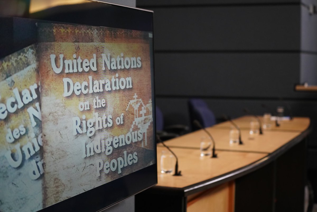 perrybellegarde's tweet photo. Delay tactics by Conservatives on Bill C-262 is undemocratic. Respect Indigenous priorities. I call on all Senators to get this Bill to committee. #CdnPoli #UNDRIP #SenCa https://t.co/bwVpxtDdz8