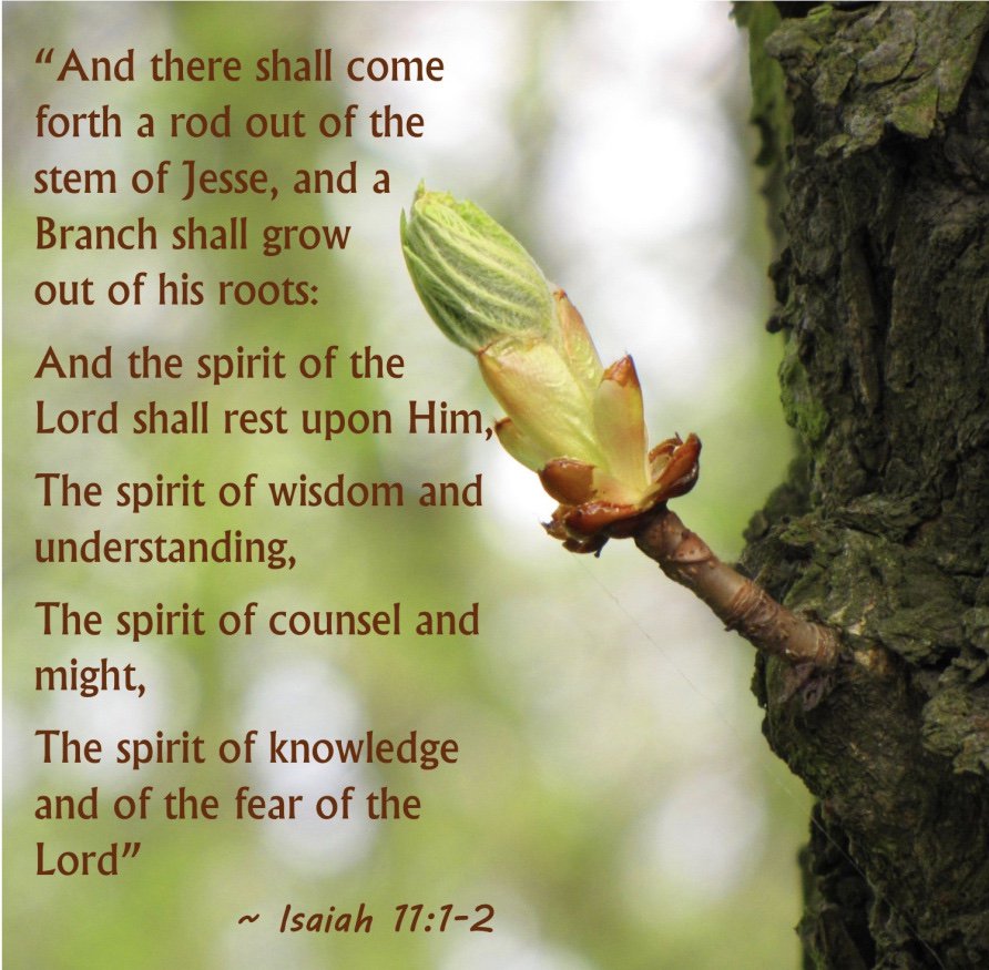E_G_WHITE's tweet photo. Isaiah’s rapt portrayals of the Messiah’s glory were his [John's] study by day &amp; by night,—the Branch from the root of Jesse;a King to reign in righteousness...the shadow of a great rock in a weary land;”...The heart of the lonely exile was filled with the glorious vision.{DA103} https://t.co/DKNQljsRvd
