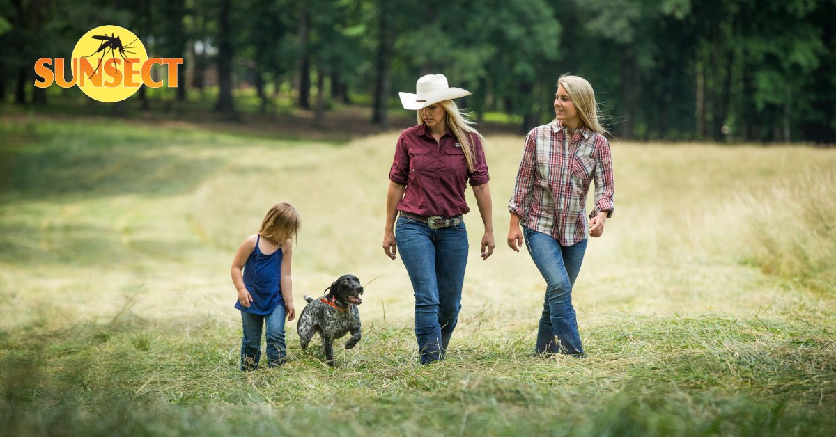 Sunsect15's tweet image. SUNSECT IS NOT GREASY, DOESN'T SMELL AND WORKS AGAINST MOST ALL BITING INSECTS, LIKE MOSQUITOS, GNATS, NO-SEE-UMS, BLACK FLIES, CHIGGERS, AND MORE.  MADE IN THE USA!  INSECT REPELLENT + SUNSCREEN!
sunsect.com