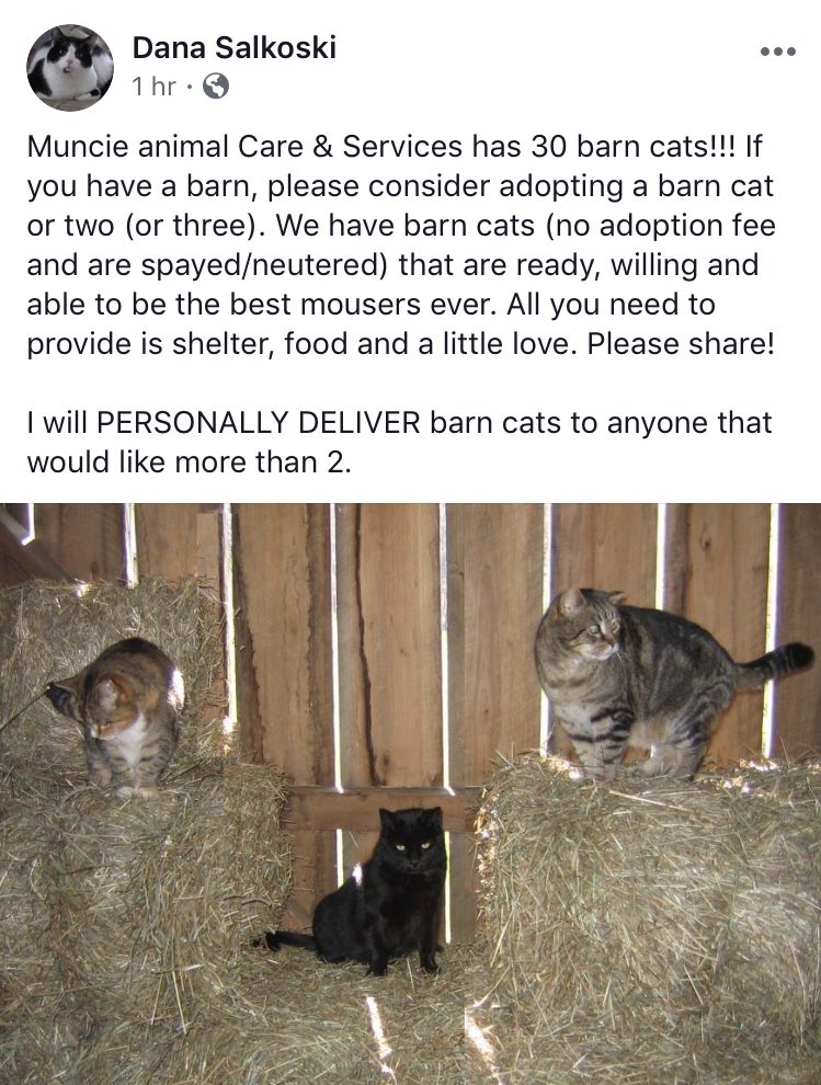 Muncie Animal Care On Twitter We Are Desperate We Are Over Max