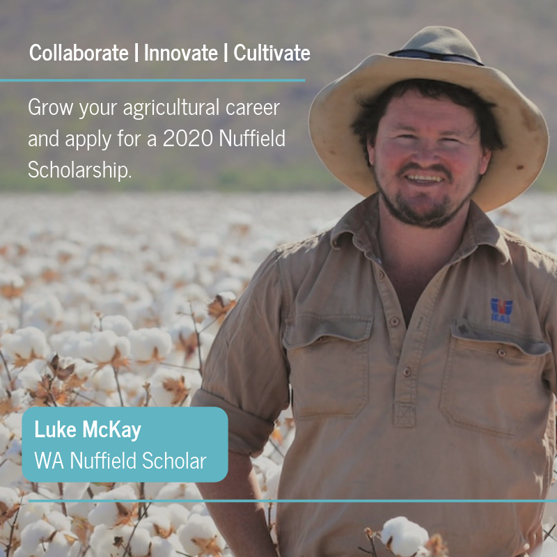 nuffieldaust's tweet photo. 2018 Scholar and cotton grower @lightning_lukem explains why you should apply for a 2020 Nuffield Scholarship.
Apply today! https://t.co/FyGTru636f  #NuffieldAg #agriculture #ProduceChange https://t.co/8AXR9LhUf0