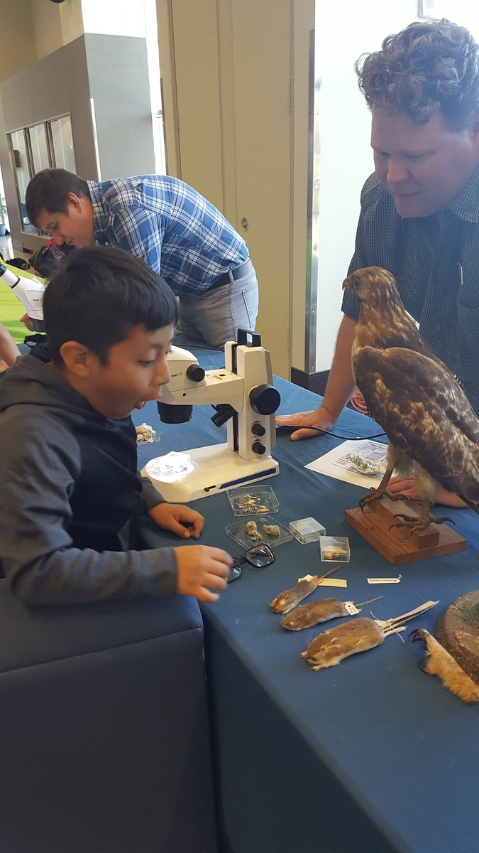 janalyn taylor tweet media