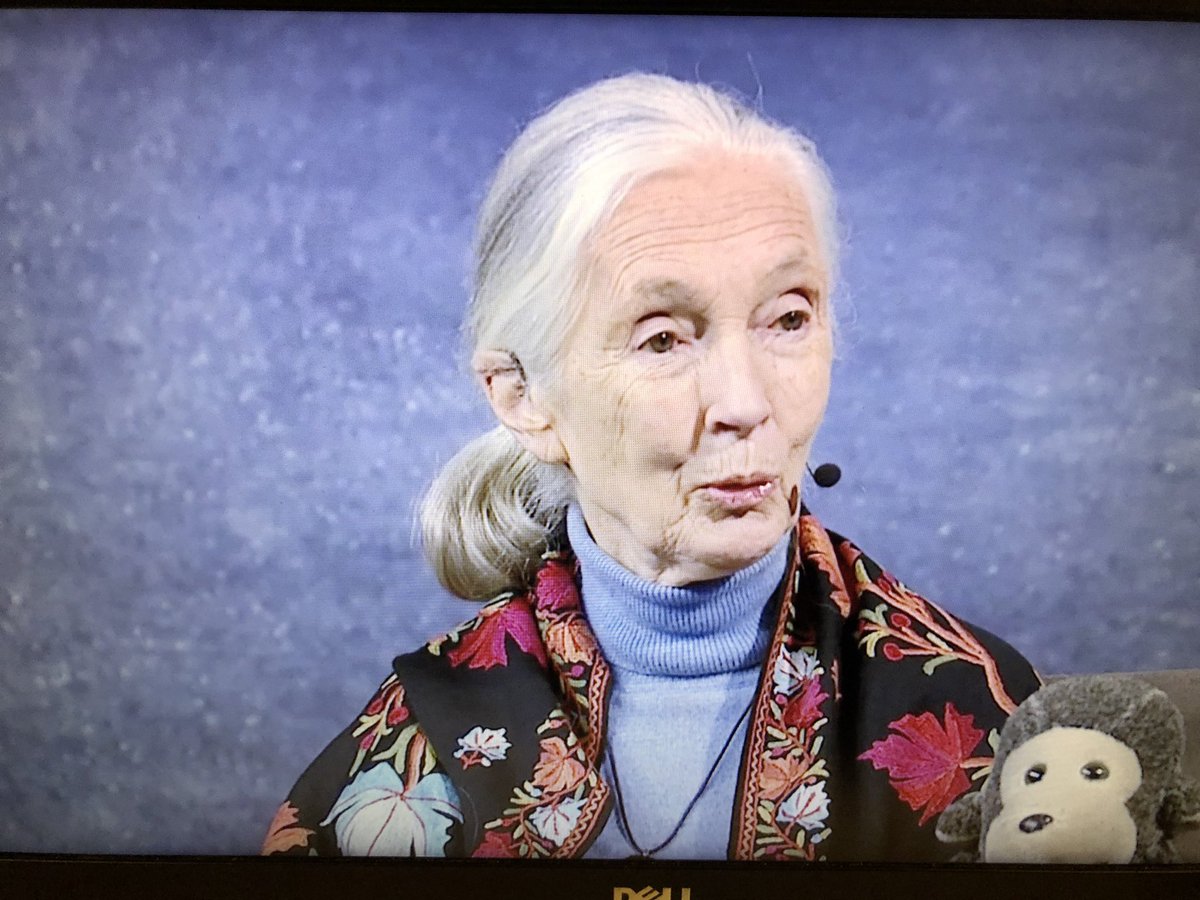 vmyers50's tweet photo. Skype in the Classroom w/Jane Goodall at 9am and Johnson Space Center at 1pm!! 🧡 where technology takes my students and I each day! #cvslearn #CVSTech https://t.co/kQqyre2sBG