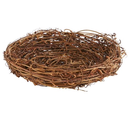 jtravisflhs's tweet photo. This is a bird nest #nature #bird  @FLHS_Mberisha @FLHS_Brett @flhsemorales https://t.co/DGvxr6ieDc