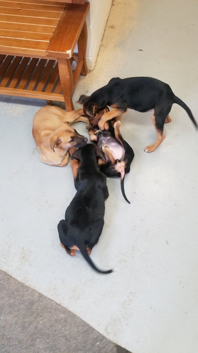 HIS SISTERS WERE SO HAPPY TO SEE HIM!!!