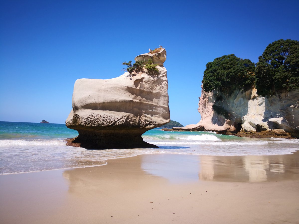 felixfsantistev's tweet photo. RT https://t.co/REftt1zg1T Stand strong. Photo taken at #CathedralCove with #HuaweiMate10Pro #noedit #nofilter. #NZ #NewZealand #Coromandel #wanderlust #YesPureNZ #pureNZ #travel #nature #landscap⦠https://t.co/sDoErXV6zM