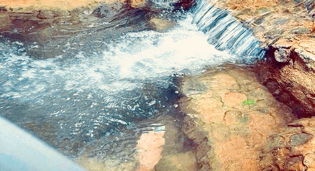 c_juridico's tweet photo. Hermoso hotel ecológico ubicado en la provincia de Hato Mayor, con acceso a 14 piscinas de aguas naturales con cascada 😱😍.

Mayor información,
Lic. Miguel Jiménez,
829-869-8888 https://t.co/VzDvZHyLgh