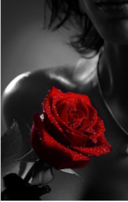 FeminisationA's tweet photo. The rose so beautiful, passionate and powerful yes just like Mistress the rose can be deceptive as to fall for the beauty brings weakness which Mistress will expose.  She will push your buttons and expose you mentally, physically and psychologically... https://t.co/PaZ90qfmua
